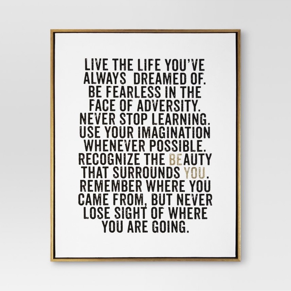 Target framed canvas art- sold out